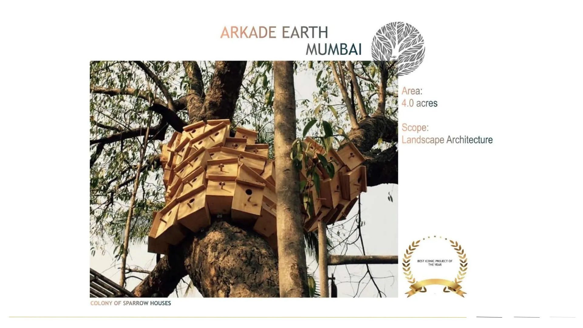 Wallace Fortuna Mumbai detail 9